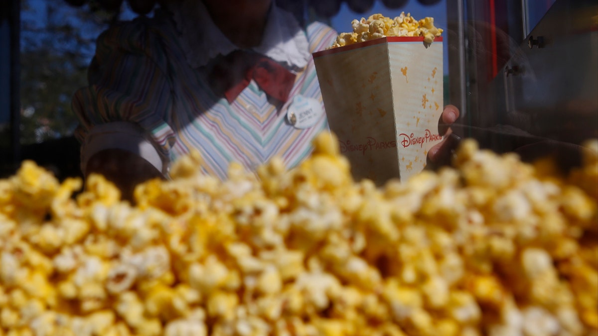 Theme park necessities: Helpful items to pack in your backpack for a day at the park
