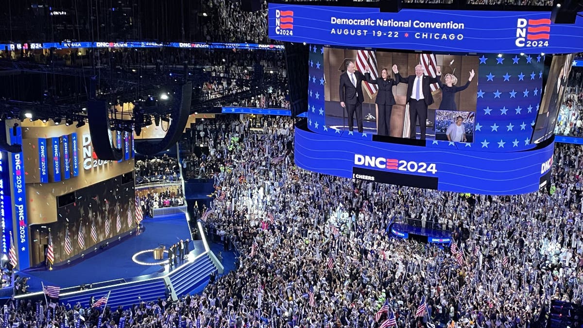 Kamala Harris’ style-over-substance campaign praised by journalists: ‘It’s a vibes election’