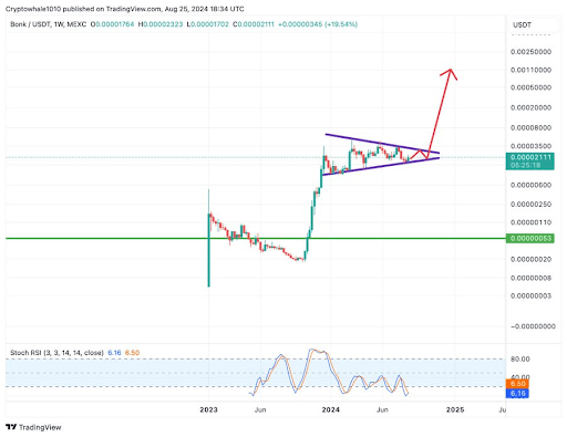 BONK About To Enter 3rd Wave, Analyst Reveals Next Target