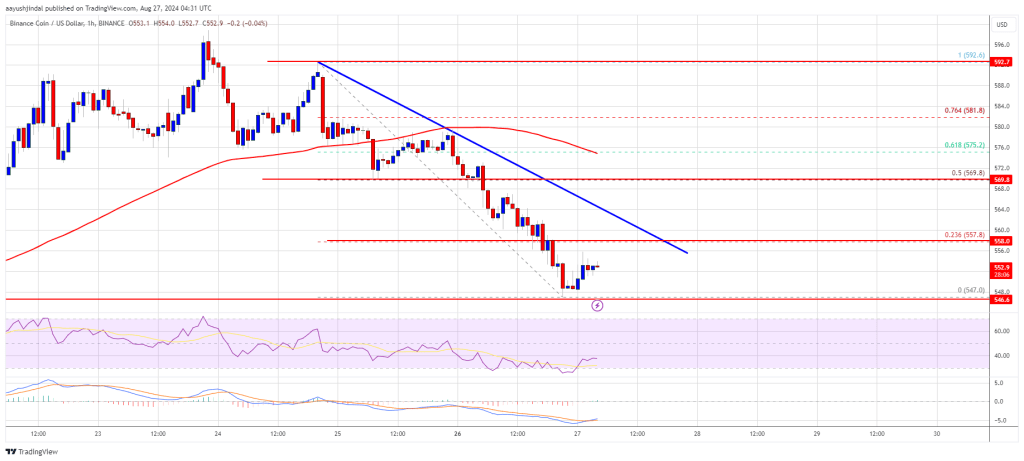 BNB Price Faces Challenges: Will It Hold $550 and Bounce Back?