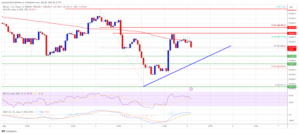 Is the Recovery About to Fade?
