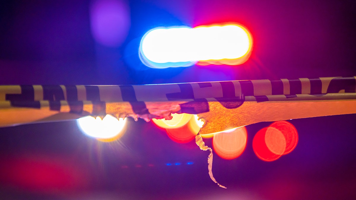 5 found dead in Minnesota apparent murder-suicide: police
