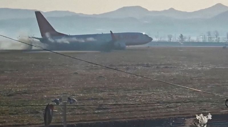 Experts question bird strike as cause of deadly South Korean plane crash