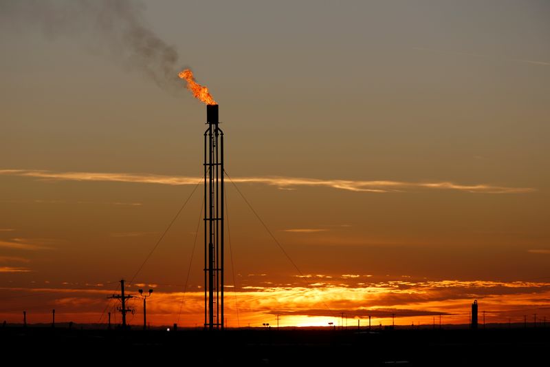 © Reuters. A flare burns excess natural gas in the Permian Basin in Loving County, Texas, U.S. November 23, 2019. Picture taken November 23, 2019.  REUTERS/Angus Mordant/File Photo US Permian oil output growth to slow in 2025 despite Trump's plan, executives say